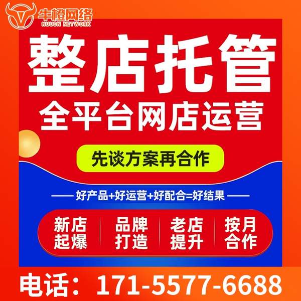 高平电商代运营