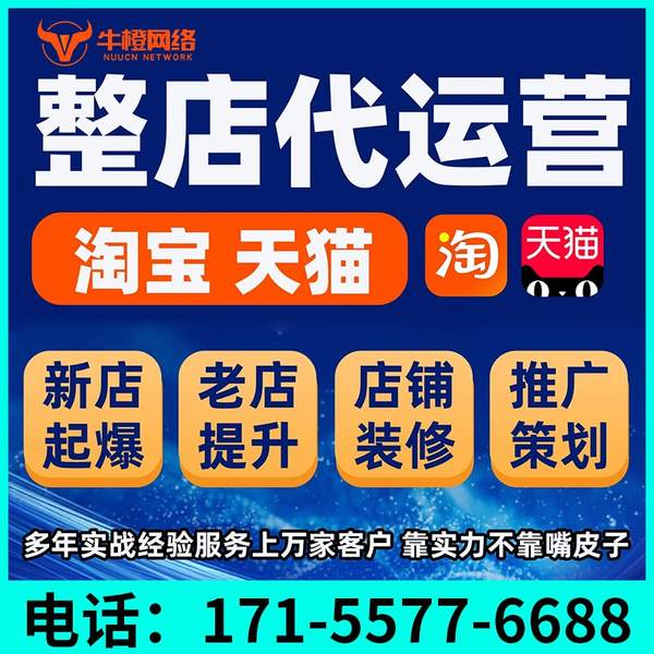 高平电商代运营